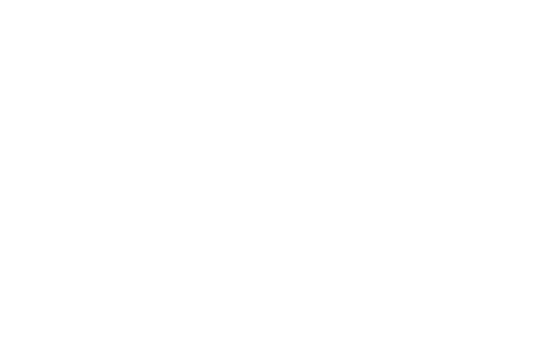 Wevolution
